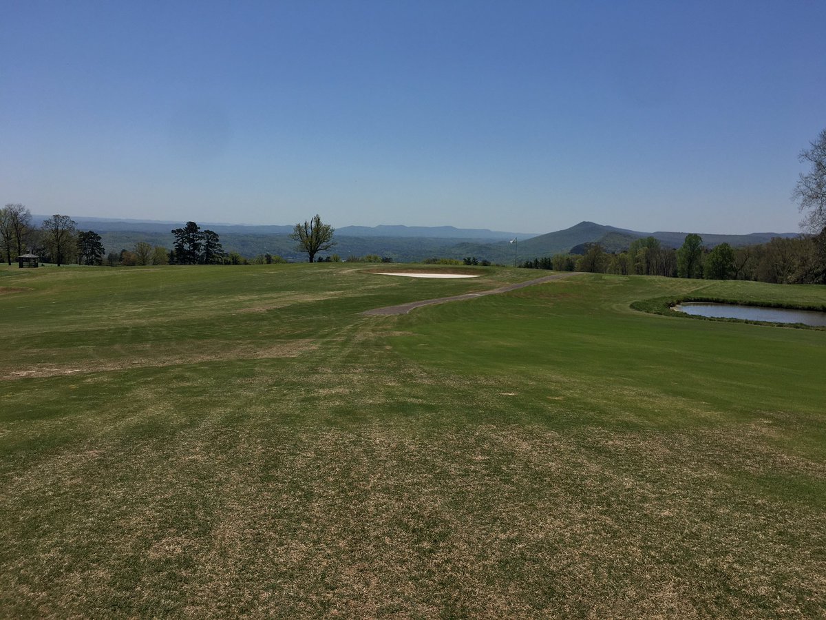 BlevinsSam's tweet photo. Today’s office was very much “on par”. #onparwithpaul #work #photographer https://t.co/BwuTUMoZey