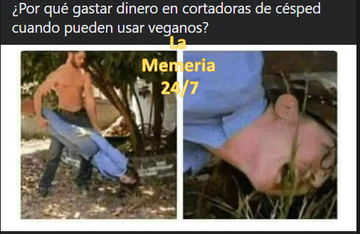 24Memeria's tweet photo. Ideas en 5 minutos https://t.co/n7m23H7GuO