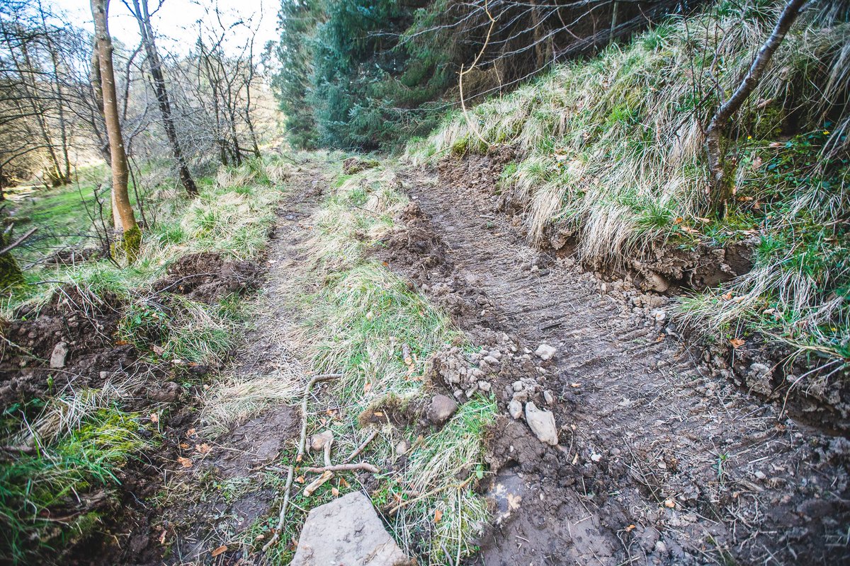 The land has recently been parcelled up and sold. Sometime over the last week the new owners, have decided to drive a digger down to the Popping Stone and remove it from its place, ‘to gain access to the woodland’ as I’ve been told today.