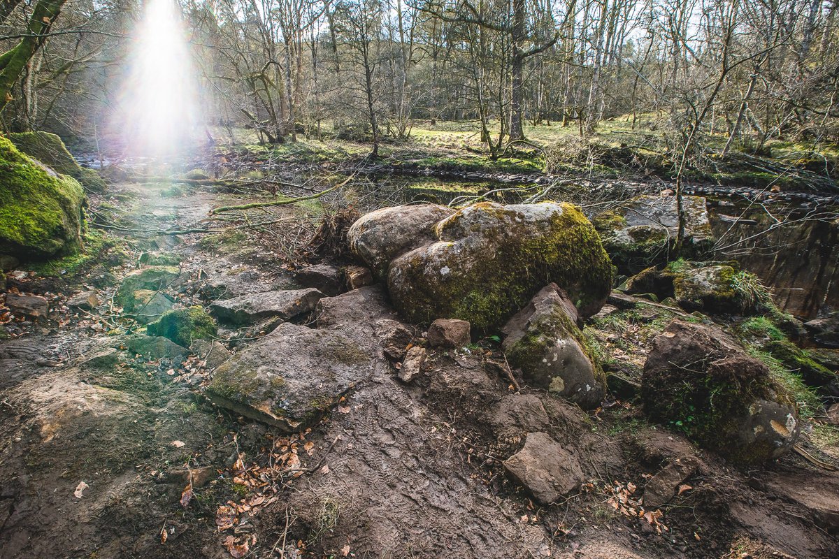 The land has recently been parcelled up and sold. Sometime over the last week the new owners, have decided to drive a digger down to the Popping Stone and remove it from its place, ‘to gain access to the woodland’ as I’ve been told today.