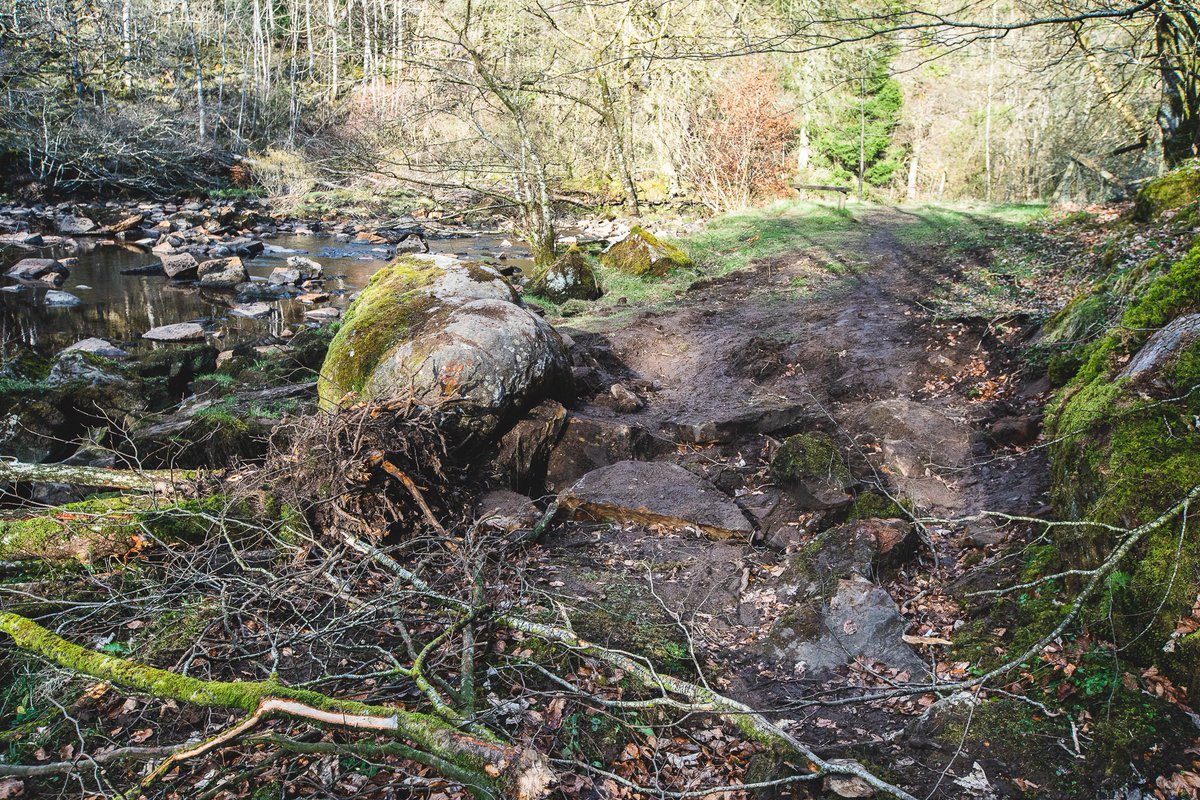 The land has recently been parcelled up and sold. Sometime over the last week the new owners, have decided to drive a digger down to the Popping Stone and remove it from its place, ‘to gain access to the woodland’ as I’ve been told today.