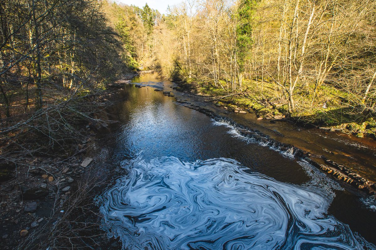 Romans were based here at the fort of Birdoswald, Bronze Age artefacts have been found, and the potential of Iron Age boundaries, but it’s something more mysterious that’s the cause of these tweets.