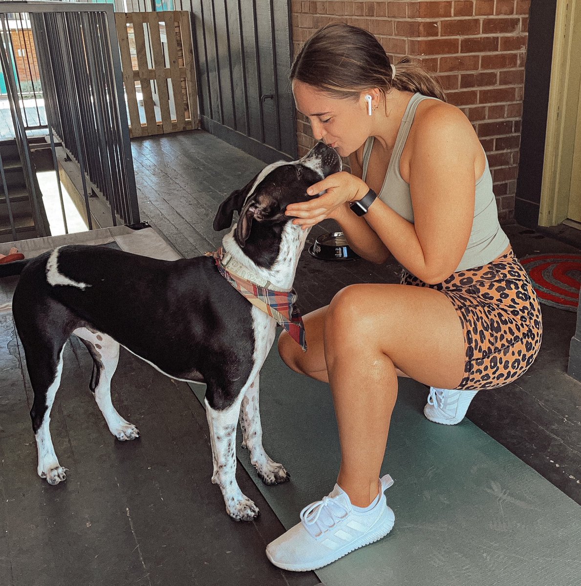 broaddamn's tweet photo. forever workout buddy 🐶 https://t.co/GTA5oLk1op