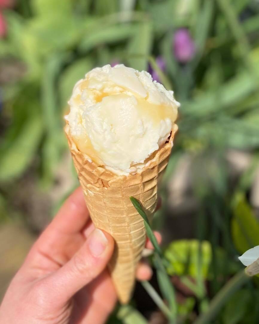 Today the sun shone & businesses started opening their doors; just feels great! Why not celebrate @thequeenatb with one of our luscious ice creams like Lemon Curd; lemon ice cream blended with scrumptious lemon curd from the clever #preservesofsuffolk