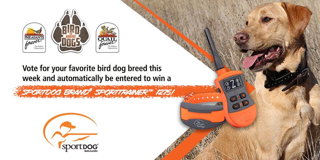 pheasants4ever's tweet photo. BIRD DOGS FOR HABITAT UPDATE: This week, all votes cast between April 12-18 will be eligible to win a @SportDOGBrand SportTrainer 1275 E-Collar! Cast your vote now at https://t.co/VhIZ3iaGG0 w/ @ProPlan &amp; NAVHDA &amp; @Project_Upland &amp; @TheOrvisCompany &amp; Ruff Land Kennels https://t.co/GIgbnVjaOd