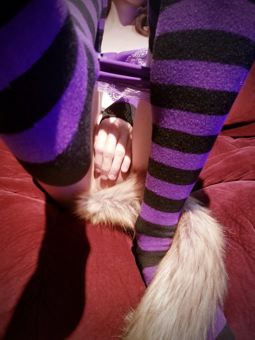 Hear me out: These paws -> your face 😼 #nsfw #crossdressing #furry #lingerie #femboy #feet https://t<a href="/tag/nsfw"class="tags">#nsfw</a><a href="/tag/crossdressing"class="tags">#crossdressing</a><a href="/tag/lingerie"class="tags"><span>#lingerie</span></a><a href="/tag/feet"class="tags"><span>#feet</span></a><a href="/tag/furry"class="tags"><span>#furry</span></a><a href="/tag/femboy"class="tags"><span>#femboy</span></a>