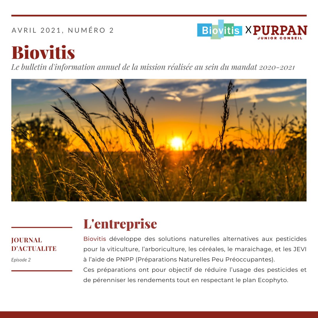 PJConseil's tweet photo. Partie 1/2

📣Purpan Junior Conseil lance son journal d’actualités pour vous tenir au courant des missions effectuées au cours de ces derniers mois et des futures missions !

💭En espérant que ces informations vous plairons !

#juniorentreprise https://t.co/JCUk1V9tEu