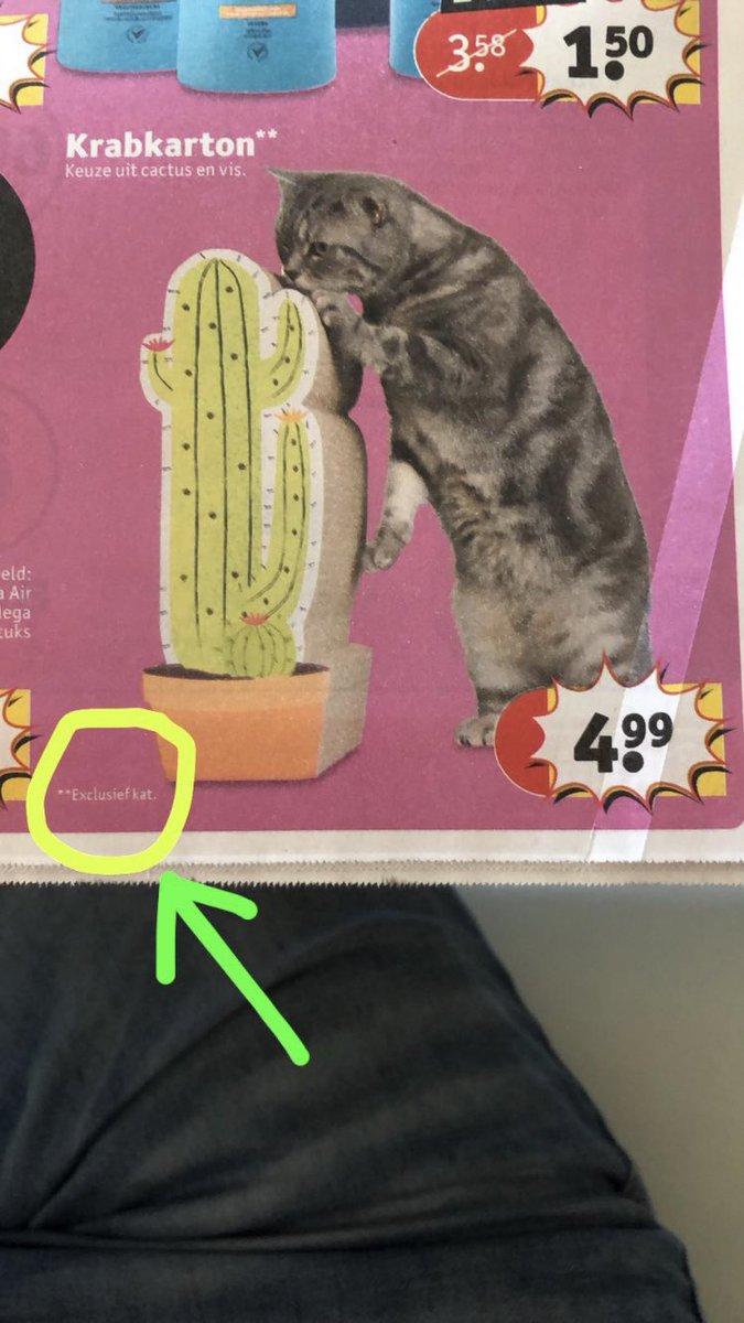 Dit is toch geweldig?! 😊