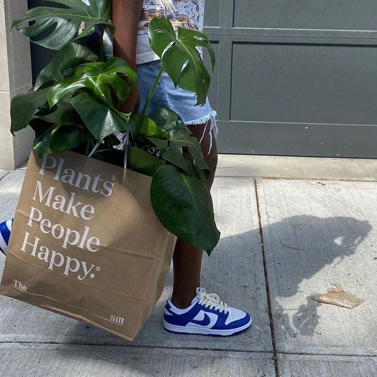 miehoneyblunch's tweet photo. 🌿 https://t.co/I0ee6b4WJ4