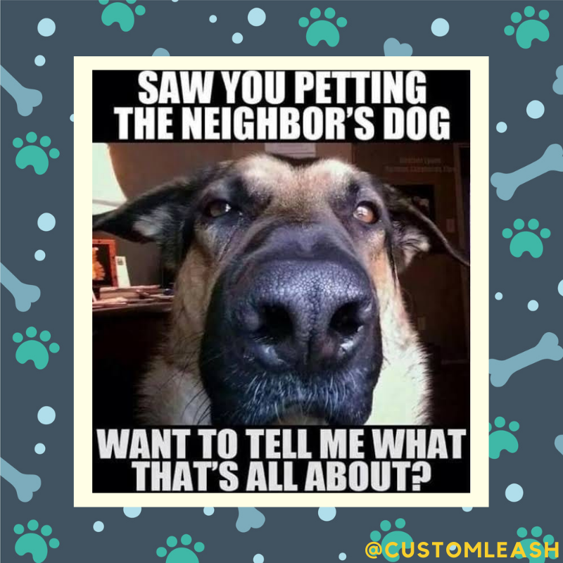 "You better rub my belly for the next half hour, or your shoes are going to disappear." 
.⁠
.⁠
.⁠
.⁠
#puppylove #doglover #pets #mememonday #customleash #custom #products #smallbusinessproducts #retail #ecommerce #supportlocalbusiness #leash #dogproducts
#dogsoftwitter