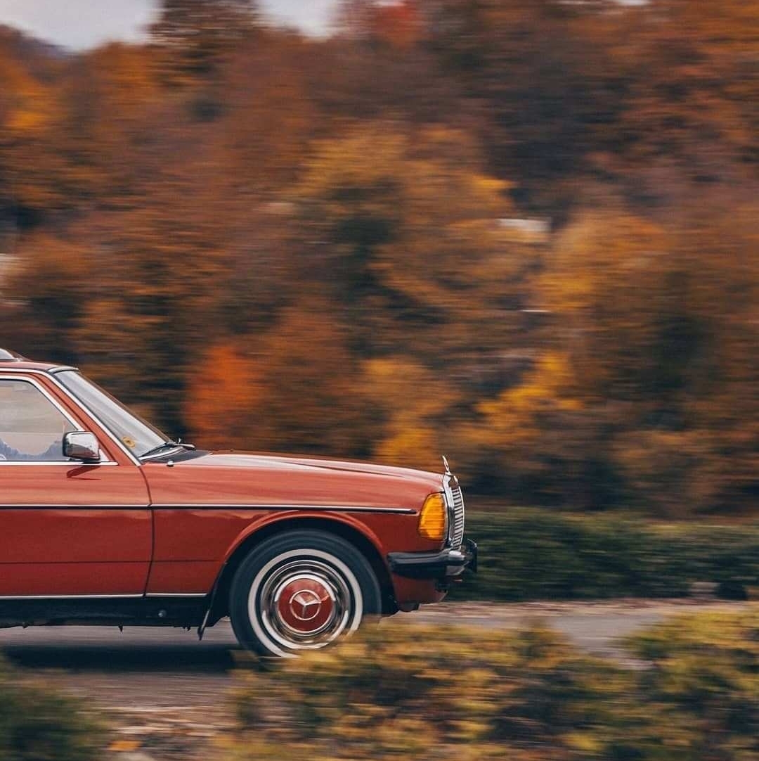 Rollin' Benz!
Credit @osokinra
-----
#w108 #w123 #w111 #w112 #w114 #w115 #mercedesbenz #mercedes #benzroyals #baggedbenzes #baggedbenz #oldmercedesclub #meninbenz #stancemerc #benzkulture
➤ #asphaltkillerz
➤ #race
➤ #stance
➤ #show