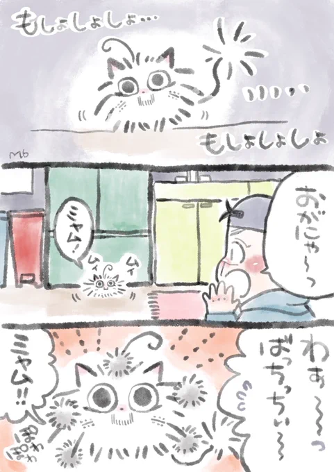 さいちとおがにゃ 