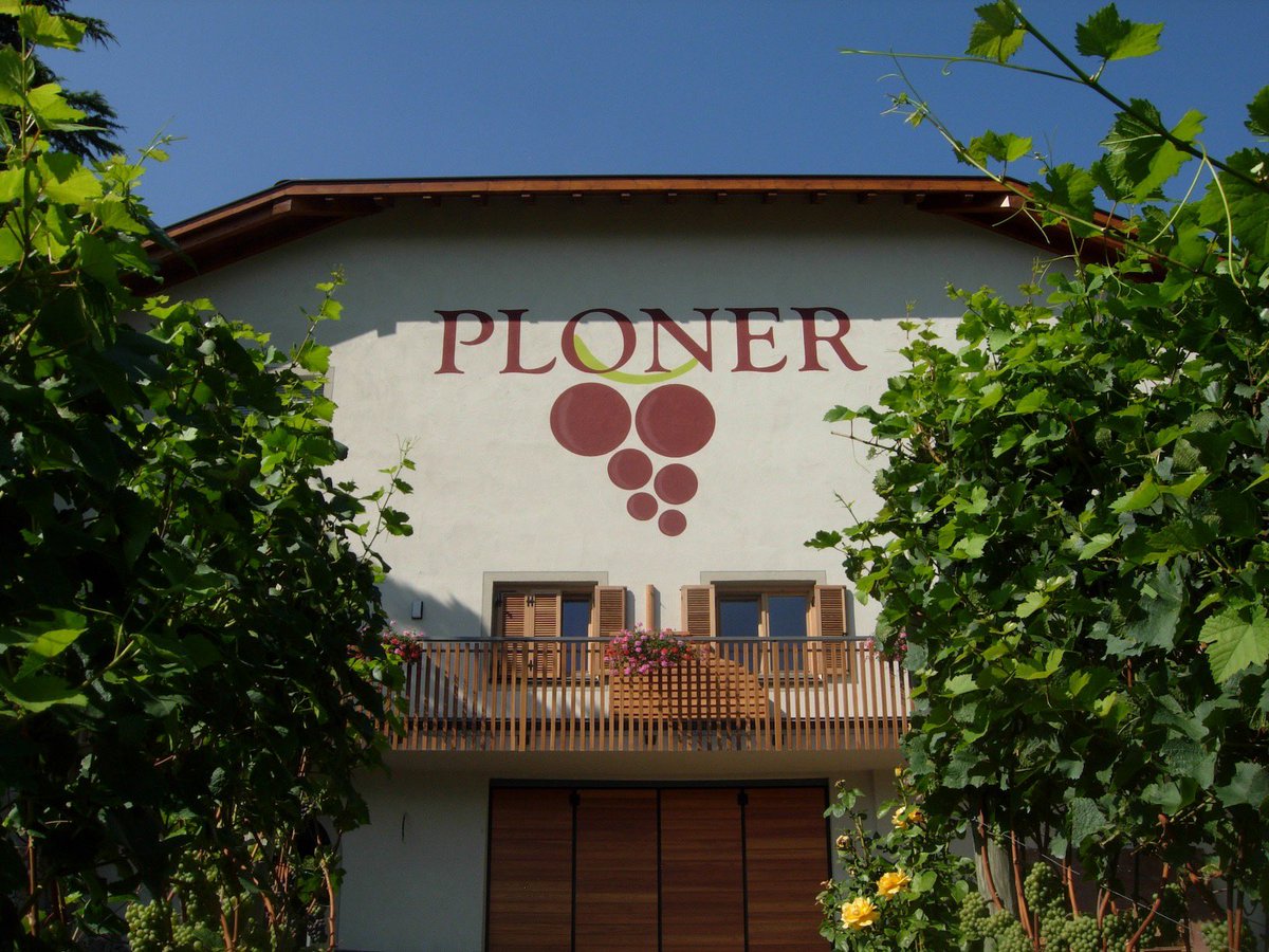 wineoneway's tweet photo. Il nome della località “suona” italiano, Marlengo. Ma il nome dell’azienda, Ploner, e quello dei suoi titolari, Erhart Tutzer e Herta Schafer, sono altoatesini. Vini freschi e di montagna. Con un rigore produttivo che dona finezza ed eleganza.
.
#ploner #wineoneway #WoW https://t.co/T9FM11aM05