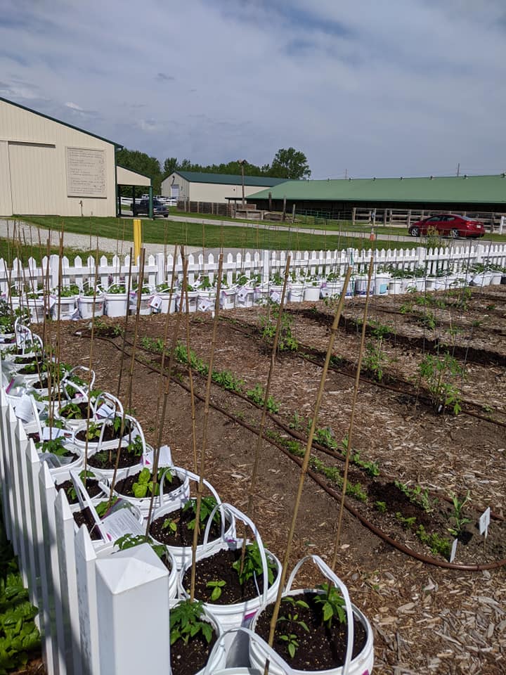 PurdueMG's tweet photo. Thank you to our resilient, hard-working, and dedicated Purdue Extension Master Gardeners! Check the program impacts for 2020! https://t.co/iGrRMK4sff https://t.co/gxgSX619A0