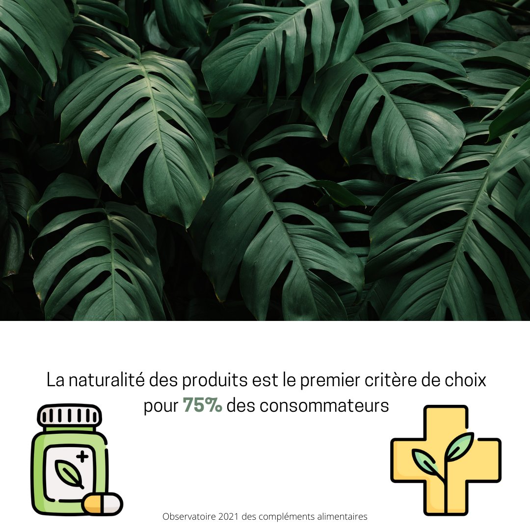 Synadiet's tweet image. 💊[OBSERVATOIRE DES COMPLEMENTS ALIMENTAIRES]

🍃🌿 La #naturalité des produits demeure le premier critère de choix pour 75% des consommateurs de #complémentsalimentaires.

👉Retrouvez tous les résultats de notre Observatoire sur notre site : lnkd.in/dpiK7Sk