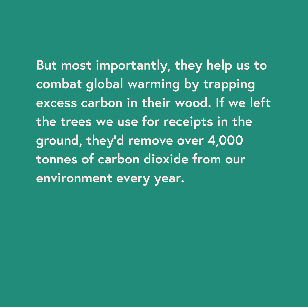 beatthereceipt's tweet photo. Trees are one of our best defences against #GlobalWarming, but planting more isn't going to save us.

Reforestation is a long-term solution for an immediate crisis - it's not good enough.

We need to end deforestation now &amp; keep our trees in the ground where they belong!🌳 https://t.co/7hWSKM6Ps9
