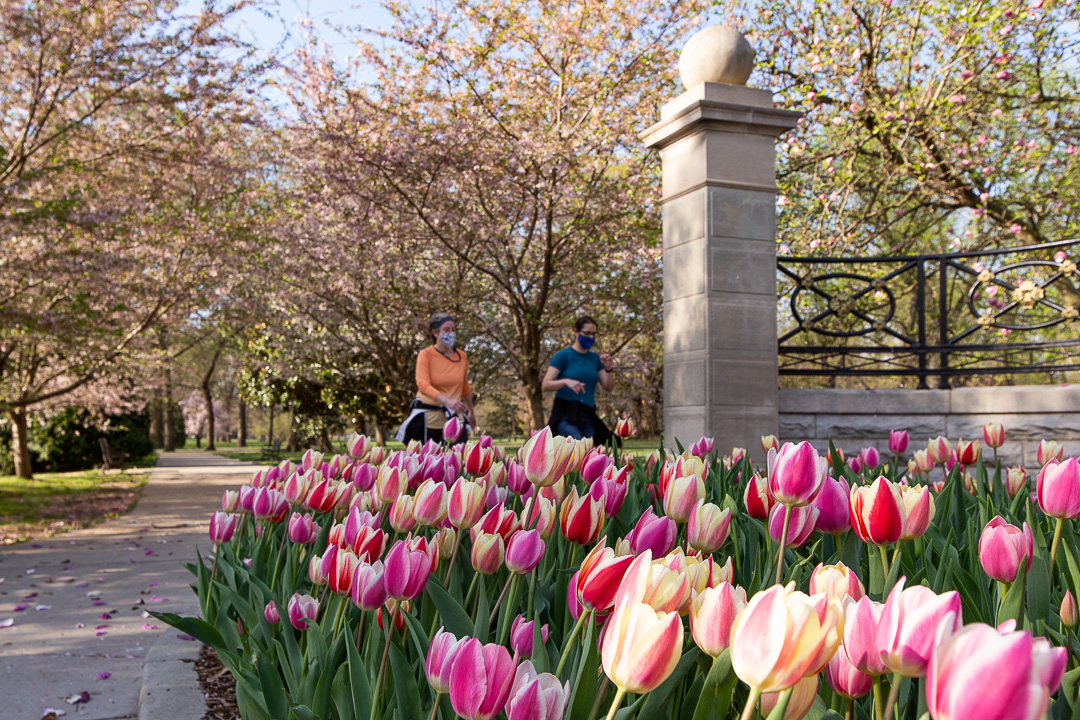 TowerGrovePark's tweet photo. Become a member of the park, and consider it your gym membership—run, walk, bike, and play sports with more scenic views! https://t.co/XSySzHJ9gJ

P.S. Through May 1, your donation will be doubled by Midwest BankCentre. https://t.co/u8UaxwU9Sp