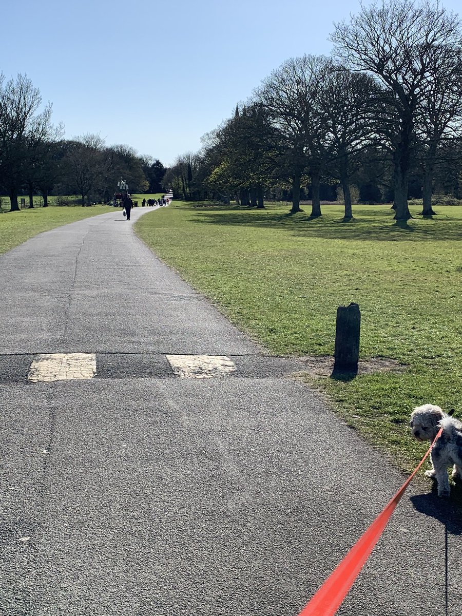Another walk ☀️