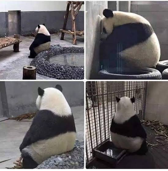 Kararların açıklanmasını bekliyorum.
#kabine