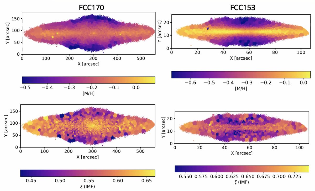 astrobellatrix's tweet photo. Ignacio Martin Navarro talks about IMF variations in the Fornax3D survey with MUSE. They confirm enhanced fraction of low mass stars in the center, but now we have beautiful IMF variation maps instead of just gradients. Mentions that @bluemusevlt will be even awesomer! #galspec21 https://t.co/NE7YTmwF0g