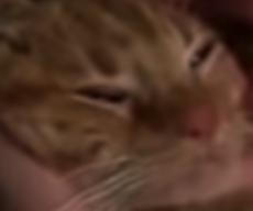 cedarspiced's tweet photo. the face of a criminal who doesn't regret what he's done and would gladly commit crimes again https://t.co/R7itFoTpeQ
