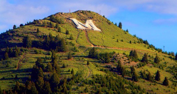 Montana Technological University tweet media