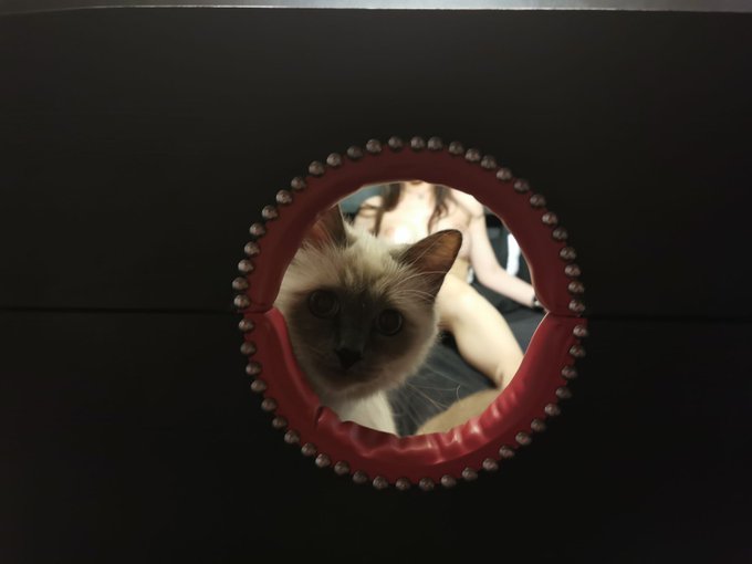 New bed is ready! Comes equipped with pillory, tying points and a cage underneath. So many ways to be