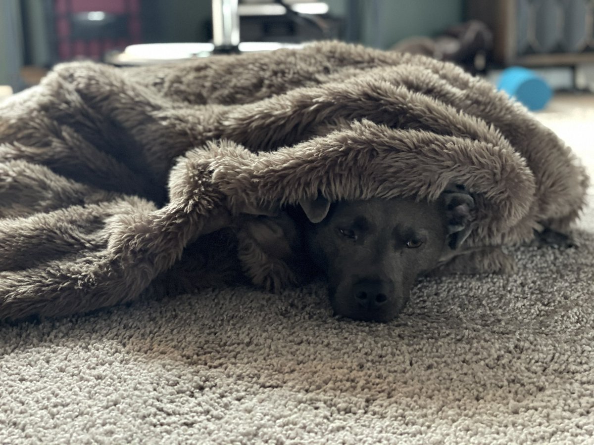 KyleMichael's tweet image. Mondays ya’ll.