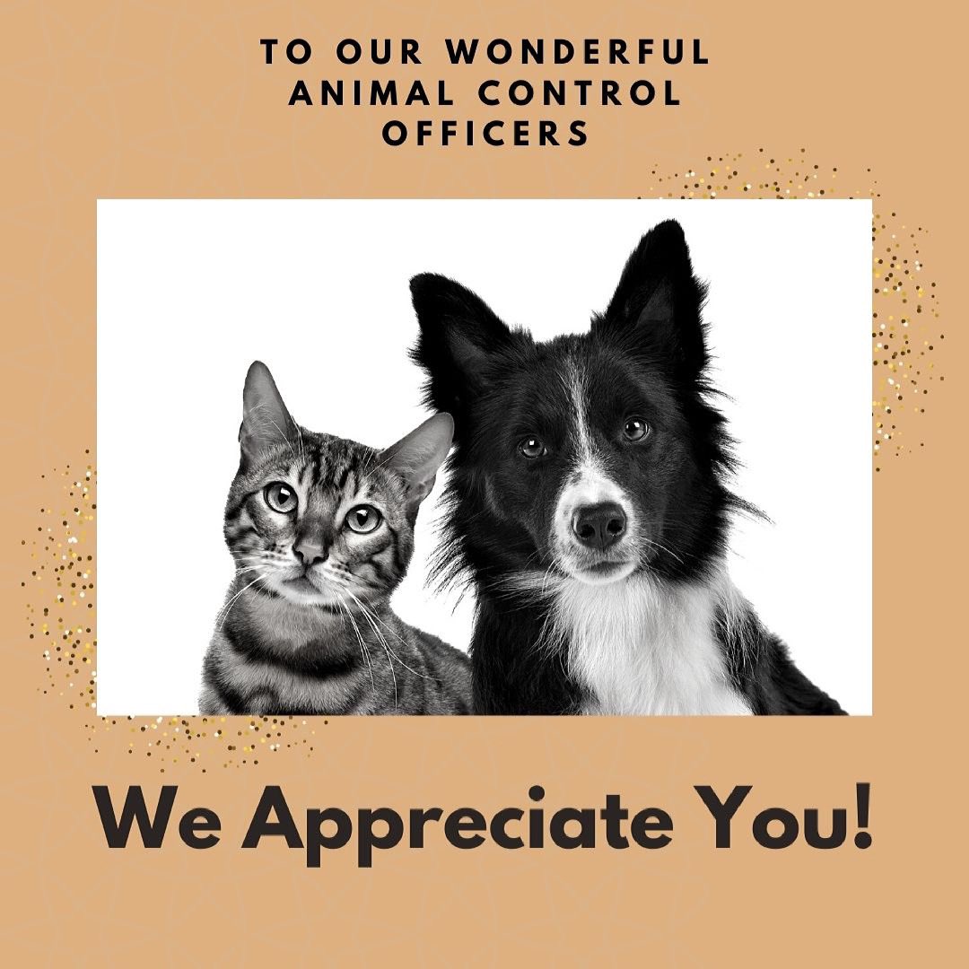 We are so thankful for all the animal control officers who work so hard for the animals and their community!