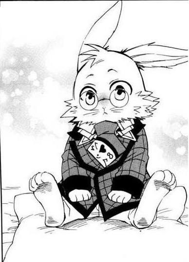bunny of the whenever 🐇 tweet media