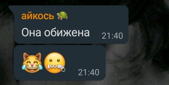 _fucking____'s tweet photo. хорошо, пойду по плачy, ибо он скоро уходит в армию. https://t.co/27tBLdORww