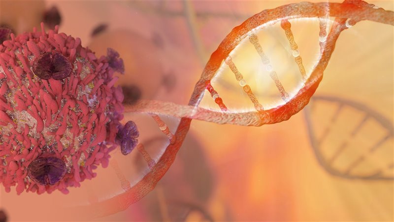 ¡La cura del cáncer puede estar en su propio ADN!🧬 Para saber más, aquí te cuento, junto con <a href="/RedDivulga/">Red Divulga</a>, <a href="/CanalUGR/">Universidad Granada</a> y @UGRDivulga, los hallazgos más importantes de mi investigación👩‍🔬. "Abro #HiloTesis”.