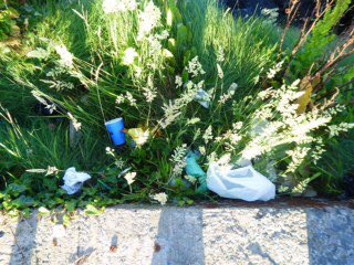 KarenDouglas_NI's tweet image. Delighted @ANDborough Officers have agreed to my request to replace the bin at the #LongHole with a gull-proof one in the next week or so! Hopefully this will prevent further waste ending upon in the water #liveherelovehere #TowardsALitterFreeBangor #NoMoreRubbishExcuses 🚮♻️🌍🌊