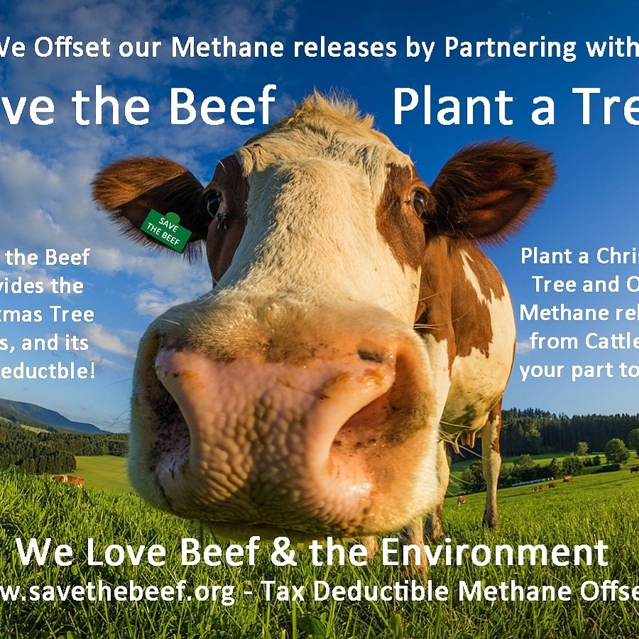 SaveTheBeefOrg's tweet image. #savethebeef savethebeef.org