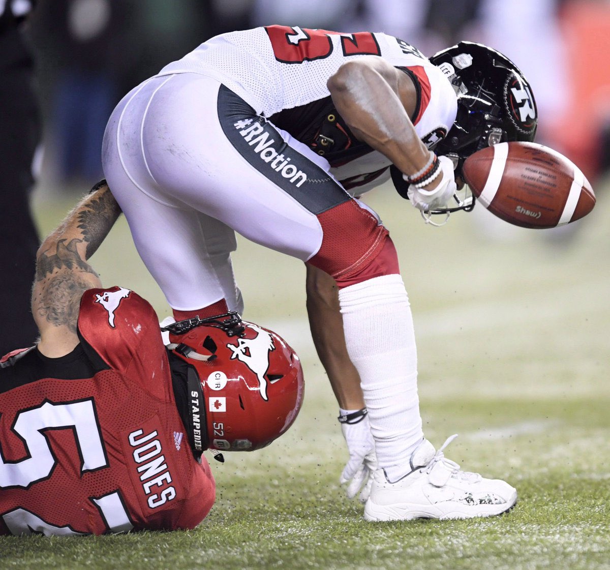 Max Campbell tweet media