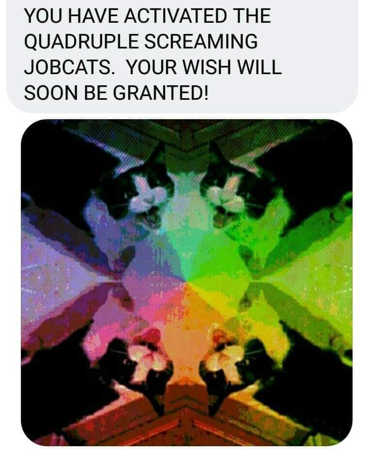 DonutRevival's tweet photo. You think I'm kidding but many of @Brick_MoJo 's friends have actually found jobs by activating #MagicalJobcat in the past. ๐ ๐งโโ๏ธ๐ฎ๐บ https://t.co/o3je7EkT0V