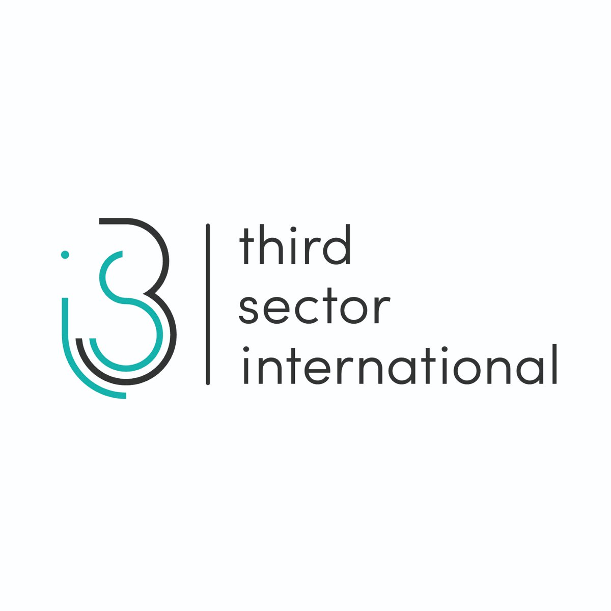 thirdsectorint's tweet photo. Last year it was our 10th anniversary, we decided not to celebrate it due to the global pandemic💔. Now, we have realised that we should share this more than ever✨For this occasion, we designed a new logo. Would you like to see our logo evolution? #3Si10yearsandcounting #3Si https://t.co/bs1vHhCDy6