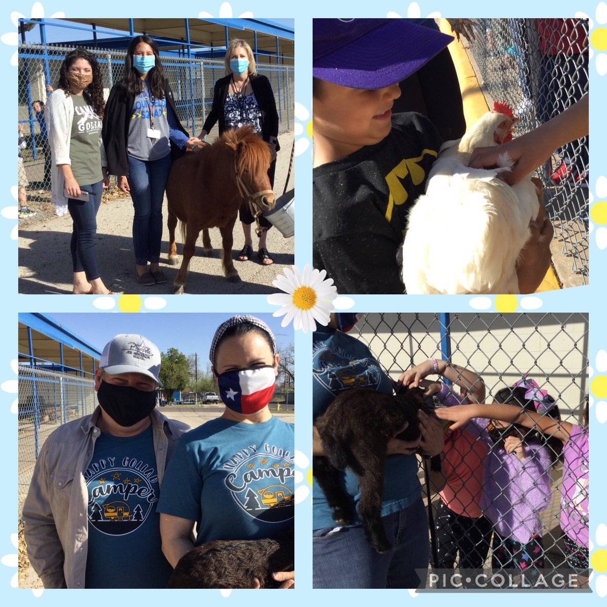 Our Kindergarten kids couldn’t go to the fair grounds, so some parents brought some of their animals to Goliad! <a href="/1GoliadSAISD/">Goliad Elementary </a> <a href="/judyknight47/">Judy Knight, Ph. D.</a> <a href="/ABishop_21/">Ashley Bishop</a> <a href="/SanAngeloISD/">San Angelo ISD</a> <a href="/KlepacShannon/">Shannon Klepac</a>