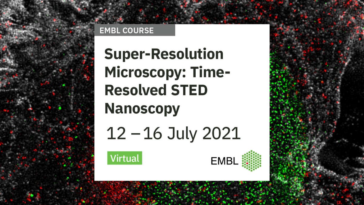 Great course coming up! This five-day comprehensive online microscopy course focuses on stimulated emission depletion microscopy (STED) and its application to biological questions. #EMBLSuperResolution <a href="/LeicaMicro/">Leica Microsystems</a>

Apply now: embl.org/about/info/cou…