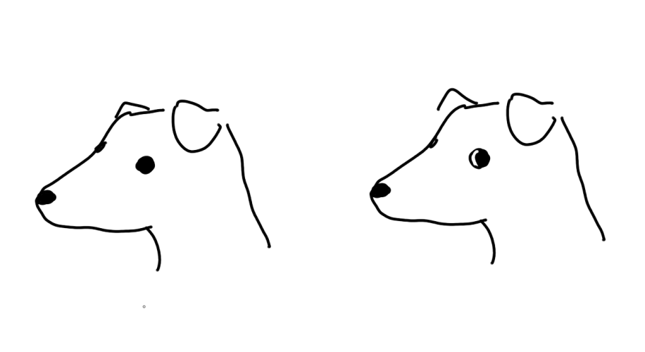 i just think its funny when dog's eyes just go like