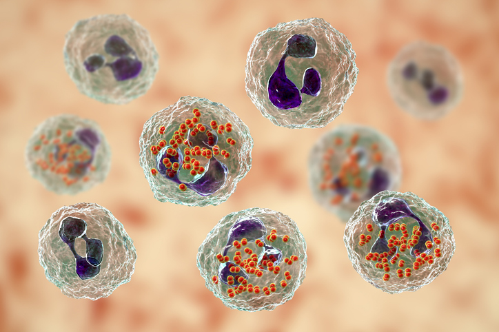 CellPressNews's tweet photo. Learn about the hottest topics in #myeloidcells from experts in the field from the convenience of your desk #CellSymposiaExpress #CSMyeloidCells2021, June 4, 2021. Register for free https://t.co/CQusO9Bk5M https://t.co/zV1ouPoGAo