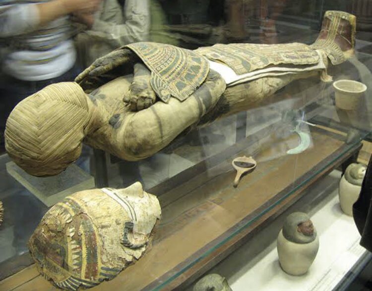 GODS OF ANCIENT EGYPT1. Ancient Egyptians were associated with ritualistic animal worship. They were very invested in it.They invested a lot of “economic wealth” into making sure their afterlife was going to be fantastic. Better than their life on earth. Hence mummification.