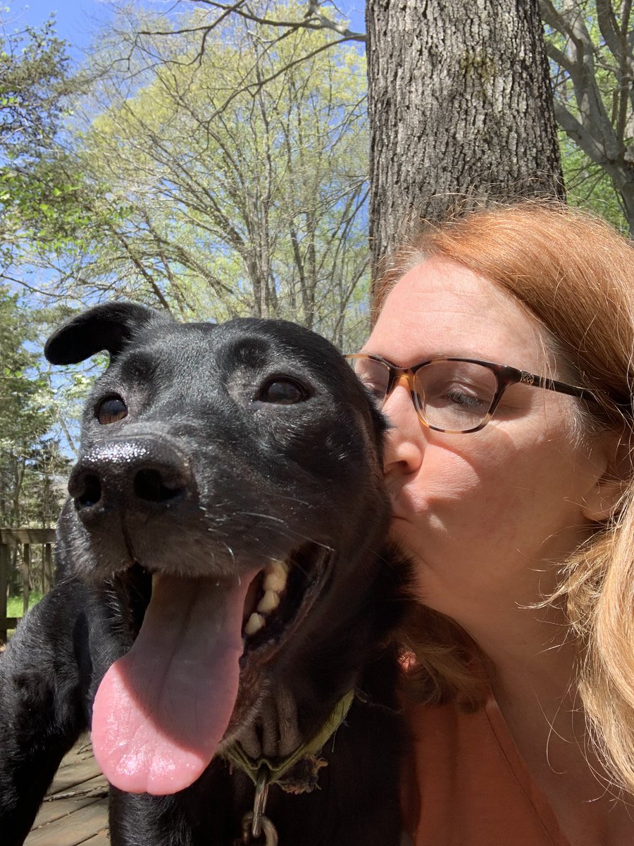 sassylady1103's tweet photo. Hanging with my doggo. Seriously, this tail though. 🐕🦺
#AdoptDontShop #Furbaby #FourLeggedKid #DogsofTwittter https://t.co/xPnTHOQUVm