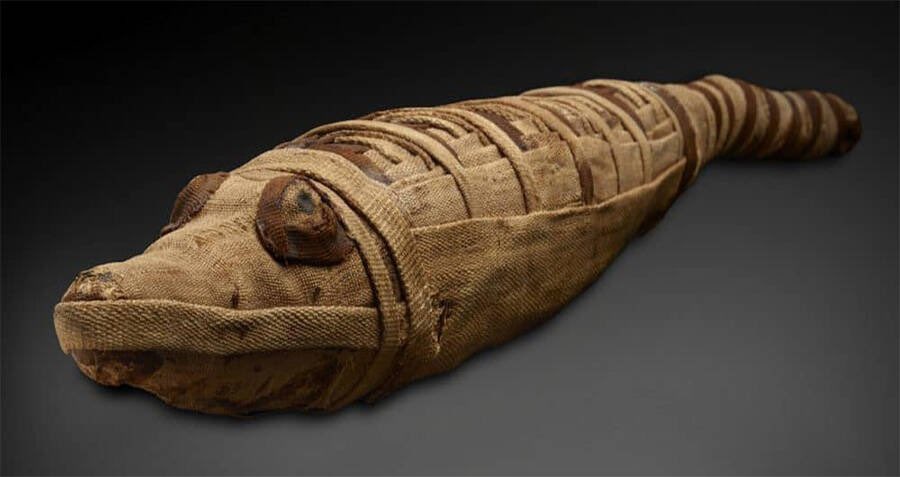 7. When the crocodiles died, they were mummified, & buried as votive offerings to Sobek. This was done to ensure protection in the afterlife.Quite an interesting ritual, isn’t it?