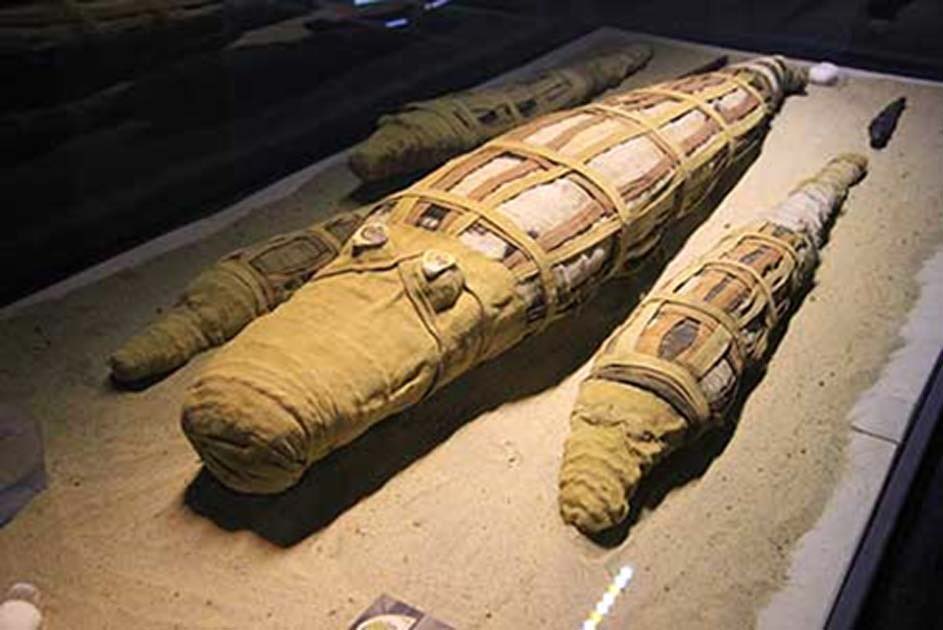 7. When the crocodiles died, they were mummified, & buried as votive offerings to Sobek. This was done to ensure protection in the afterlife.Quite an interesting ritual, isn’t it?