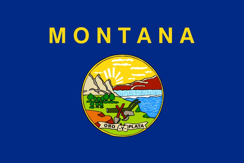 Montana gets an award for best use of MS Paint in flag design.8/10, I like the commemorative plate