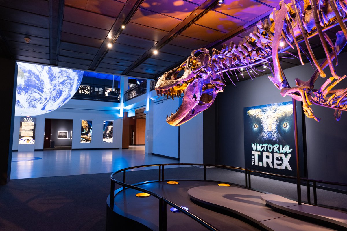 hmns's tweet photo. #PhotoMike took some new glamor shots of #VictoriaHMNS this past week. She's really mastering the whole posing thing. 

❤️🦖📷

VISIT: https://t.co/MXqQQ9xhWS https://t.co/r7TFqCO2OX