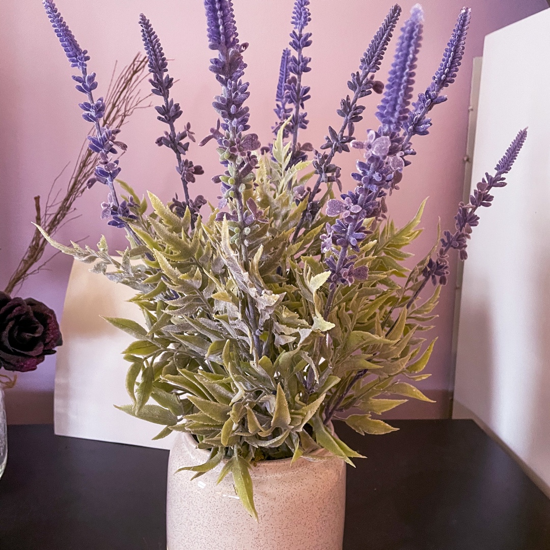 SimplyBeingBell's tweet photo. Loving these lavender flowers! #KohlsFinds #contest @kohls @Influenster https://t.co/ywHttrBDp3
