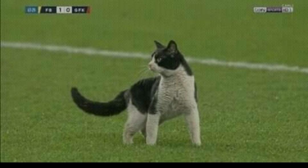 JK sahaya ajan göndermiş arkadaşlar dikkatli olalım