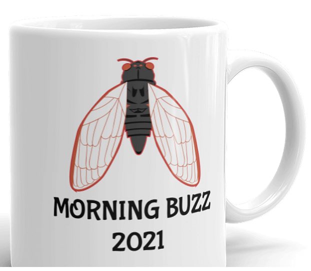 New version of our Morning Buzz mug available now with free shipping at cicadanation2021.com #cicada #cicadas #broodx #17yearcicadas #bugs #insects #nature #science